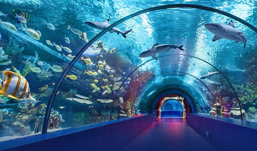 aquarium in chandigarh